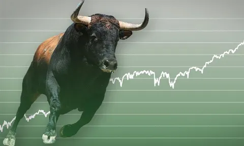 Dòng tiền lớn trở lại thị trường, VN-Index 'sáng cửa' đi lên