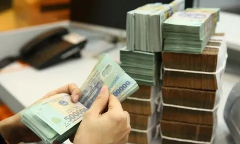 Nghệ An: Công ty TNHH An Thịnh Khang nợ thuế hơn 58 tỷ đồng