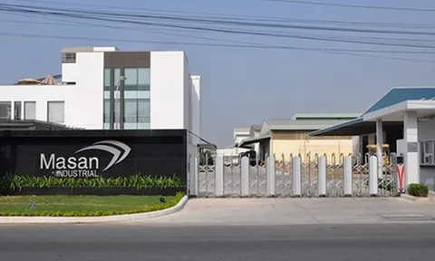 Masan Group (MSN): Điểm mạnh và bất lợi trong bức tranh tài chính