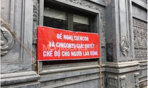 Cienco 8 và Tập đoàn Phúc Lộc 'mắc kẹt' tại những đại dự án nào?
