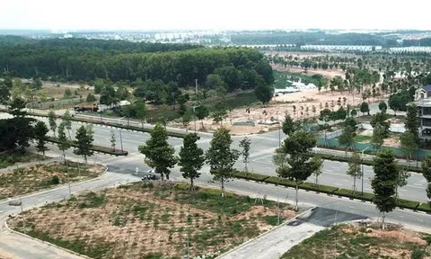 Đồng Nai: 54 dự án bất động sản vi phạm pháp luật đất đai