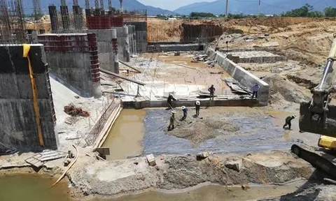 Bộ Nông nghiệp nói gì về việc nhà thầu bị 'bêu tên' vẫn trúng thầu liên tiếp?