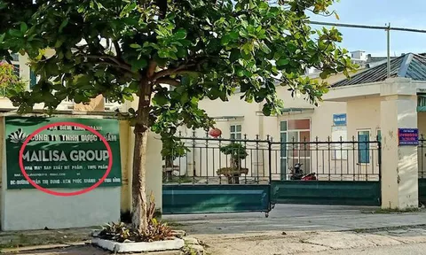 Thái Bình xử lý loạt vi phạm của Công ty cổ phần khoáng sản Tây Bắc