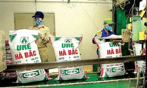 Đạm Hà Bắc (DHB) bị nghi ngờ khả năng hoạt động liên tục