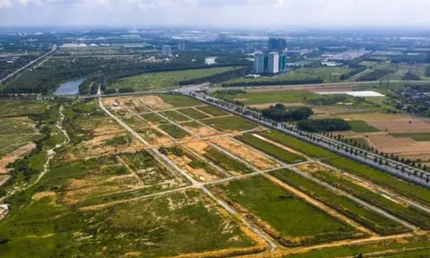 Nóng: Đã có kết luận điều tra vụ 43ha 'đất vàng' ở Bình Dương