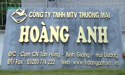 Cty Hoàng Anh Hải Dương vướng nhiều sai phạm: Tỉnh ra tay 'điểm huyệt'