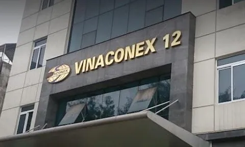 Vinaconex 12 bị xử phạt gần 400 triệu đồng vì vi phạm hành chính về thuế