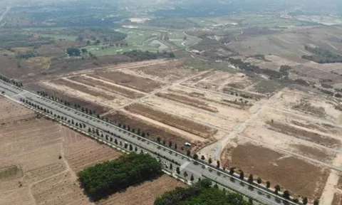 Điểm danh các pháp nhân liên quan trong vụ bán rẻ 43ha 'đất vàng' ở Bình Dương