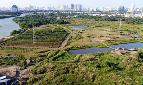 Quốc Cường Gia Lai mua 'hụt' hơn 32ha đất công ở TP.HCM như thế nào?