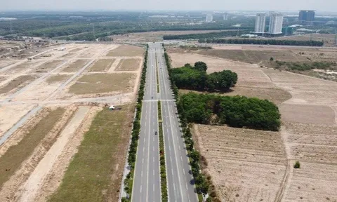 Thủ đoạn biến 43 ha 'đất công thành đất ông' của Chủ tịch Tổng Công ty 3/2