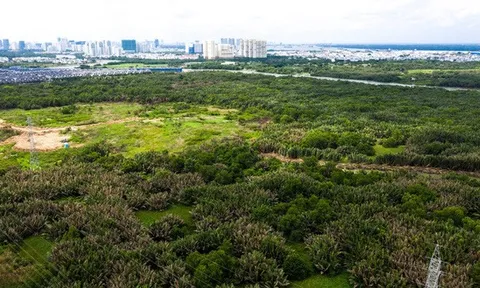 Vụ sai phạm 32ha đất Phước Kiển: Công ty Quốc Cường Gia Lai liên quan gì?