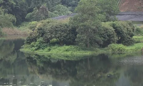 Yên Bái: Nhà máy gây ô nhiễm kéo dài, người dân liên tục kêu cứu