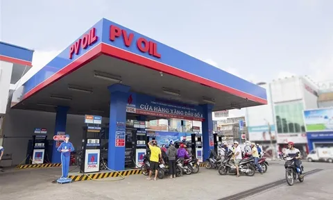 "Ông lớn" PV OIL có 852 tỉ nợ xấu, dòng tiền kinh doanh âm 1.040 tỉ