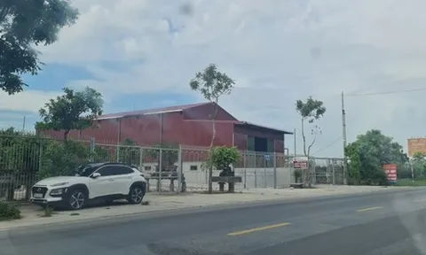 Hải Dương chậm xử lý sai phạm trên đất nông nghiệp