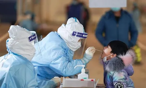 Tối 26/8: Thêm 11.575 ca mắc COVID-19; kỷ lục hơn 18.560 bệnh nhân được chữa khỏi