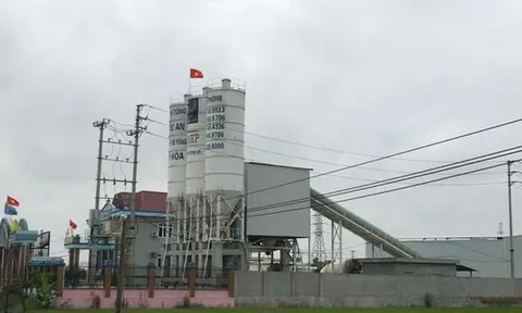 Làm rõ trách nhiệm việc để Công ty Cổ phần bê tông xây dựng Quốc An lấn chiếm gần 1.000m2 đất nông nghiệp