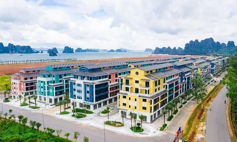 Sau kiểm toán, CEO tiếp tục lỗ nặng hơn năm ngoái