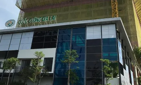 Vụ 'thâu tóm' gần 32.000m2 đất công: Bà chủ Quốc Cường Gia Lai khai gì?