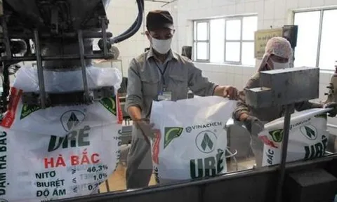 Đạm Hà Bắc (DHB) chìm trong thua lỗ