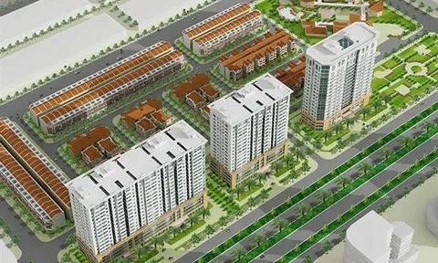 Lợi nhuận Công ty Địa ốc Sài Gòn lao dốc