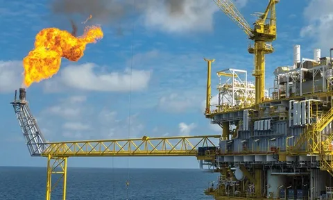 Triển vọng giá dầu, vàng tuần 30/8 - 3/9