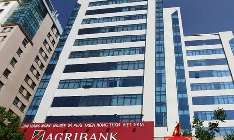 Không đủ điều kiện vay vốn, Agribank Lạng Sơn vẫn giải ngân rồi mắc kẹt hơn 200 tỷ đồng