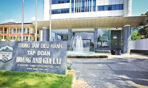 Soi tài chính cty bầu Đức bị nghi ngờ khả năng hoạt động liên tục