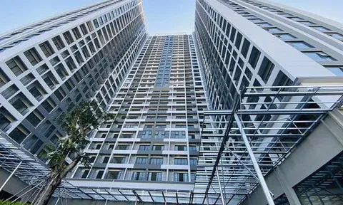 Vụ 'thâu tóm' đất công giá bèo: Liệu có thu hồi dự án Lavida Plus của Quốc Cường Gia Lai?