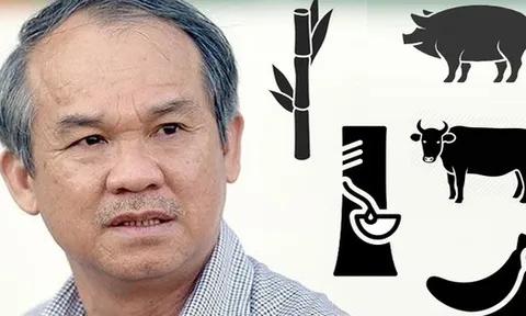 Ôm khoản lỗ 7 nghìn tỷ, Bầu Đức về lo chăm cây, nuôi bò