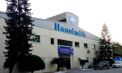 Dù báo lãi, Hanoimilk vẫn bấp bênh khả năng phục hồi