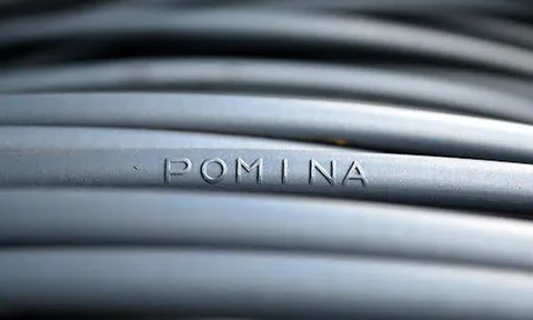 Pomina báo lãi 'hụt' sau soát xét, nợ ngắn hạn vượt tài sản ngắn hạn hơn 350 tỷ