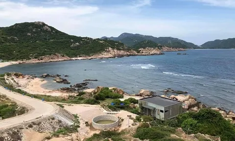 Yêu cầu doanh nghiệp trả lại đất tại dự án đã thu hồi để phục vụ quốc phòng