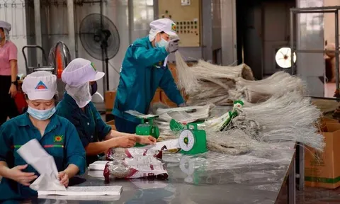 Mặt hàng thiết yếu nào được Hà Nội cấp giấy đi đường?