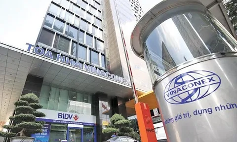 Vinaconex (VCG) sau kiểm toán giảm lợi nhuận giảm 13%, tương đương gần 33 tỷ đồng so với báo cáo tự lập