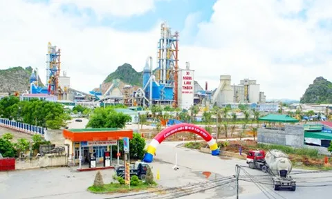 Công ty Cổ phần Xi măng và Xây dựng Quảng Ninh nợ tiền thuế hơn 105 tỷ đồng