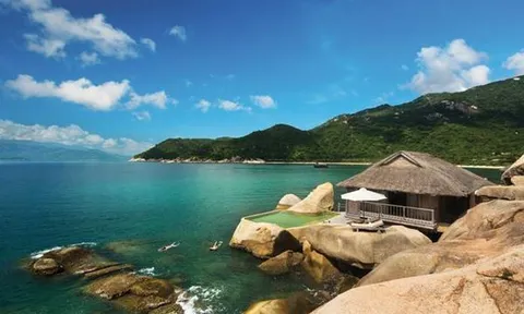 Hậu kiểm toán, Ninh Vân Bay sụt giảm tài sản, lỗ lũy kế lên đến 668 tỷ đồng