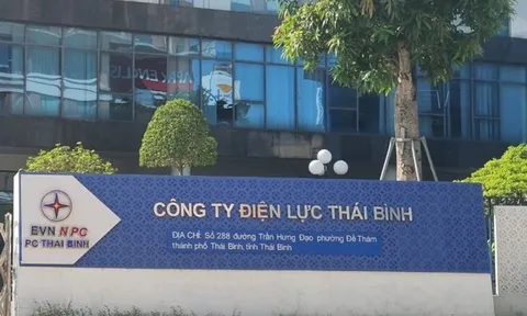 Đấu giá ở Cty Điện lực Thái Bình: Có hay không việc gây khó dễ cho đơn vị tham gia?