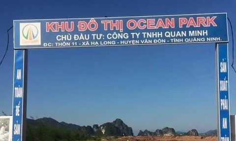 Công ty TNHH Quan Minh, chủ đầu tư khu đô thị Ocean Park nợ tiền thuế gần 148 tỷ đồng