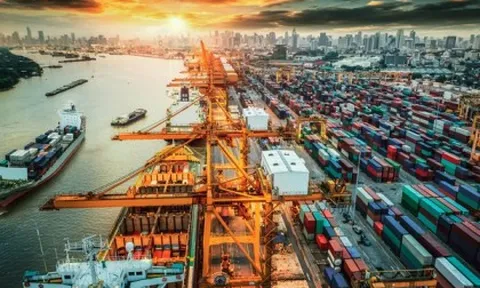 Chuỗi cung ứng toàn cầu sẽ bị đứt gãy thêm hai năm nữa vì các làn sóng Covid-19