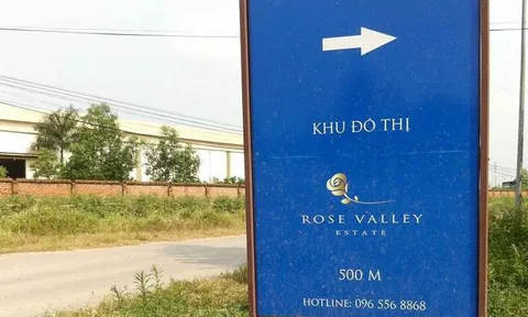 Viettel khó buông tay khỏi 'thung lũng hoa hồng'