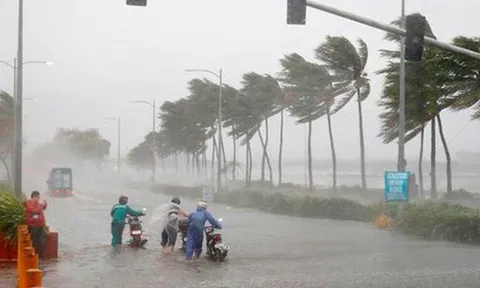 Bão số 5 suy yếu thành áp thấp nhiệt đới đổ bộ vào Đà Nẵng-Bình Định