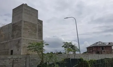 Chấm dứt dự án 'xây chui' trên đất trồng lúa