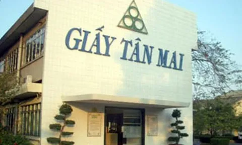 Liên tục nợ thuế, Tập đoàn Tân Mai xin chuyển hơn 118 ha đất rừng làm dự án khu dân cư