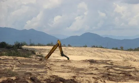 Phá 'nhầm' 5,26 ha rừng phòng hộ làm nhà máy điện: Chủ đầu tư lại đổ lỗi cho dân!