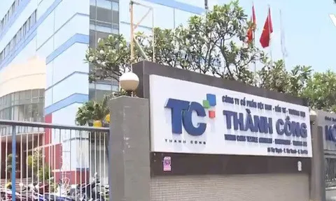 Dệt may Thành Công (TCM): Cổ phiếu liên tục giảm xuống 66.000 đồng/cp, tháng 8 bất ngờ báo lỗ hơn 6 tỷ đồng