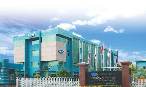 Cổ phiếu Gỗ Trường Thành (TTF) tiếp tục trong diện kiểm soát, có khả năng bị hủy niêm yết