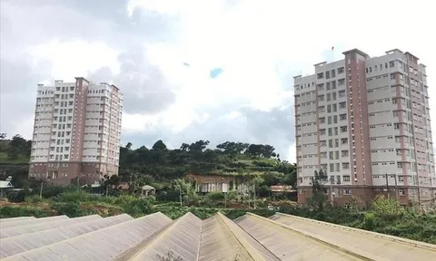 Bất lực trước 'món nợ khó đòi' tại Dự án Khu ký túc xá sinh viên Đà Lạt