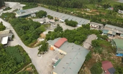 Hàng chục năm thuê đất nhưng không nộp tiền