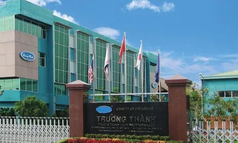 Gỗ Trường Thành kinh doanh thế nào... bị cảnh báo hủy niêm yết?