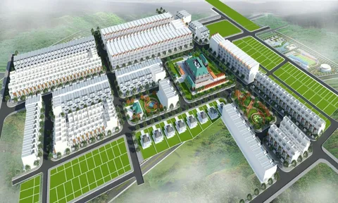 Thanh Hóa: Doanh nghiệp gần 4 tháng tuổi trúng đấu giá khu đất 3.800m2